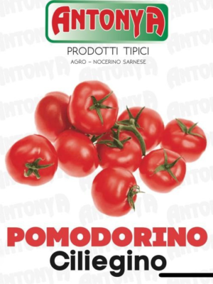 Pomodorini Minuetto Antonya 3/1