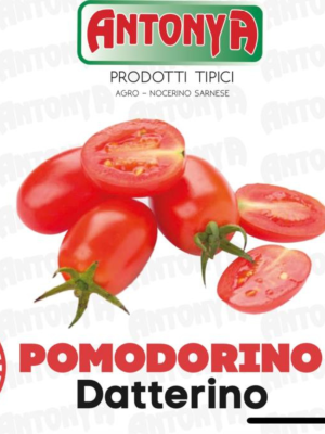 Pomodoro Datterino Antonya 1 kg